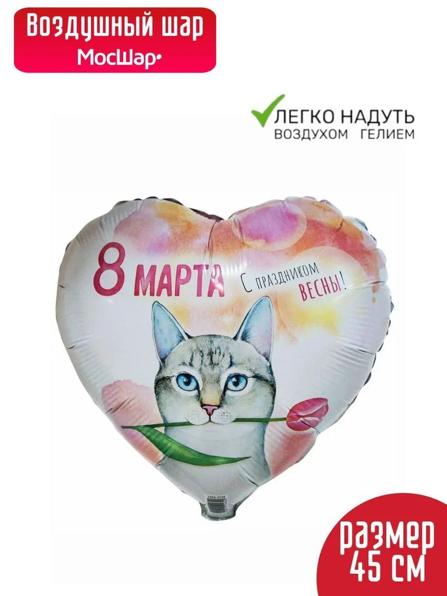 Фольга18/8МартаКОТ