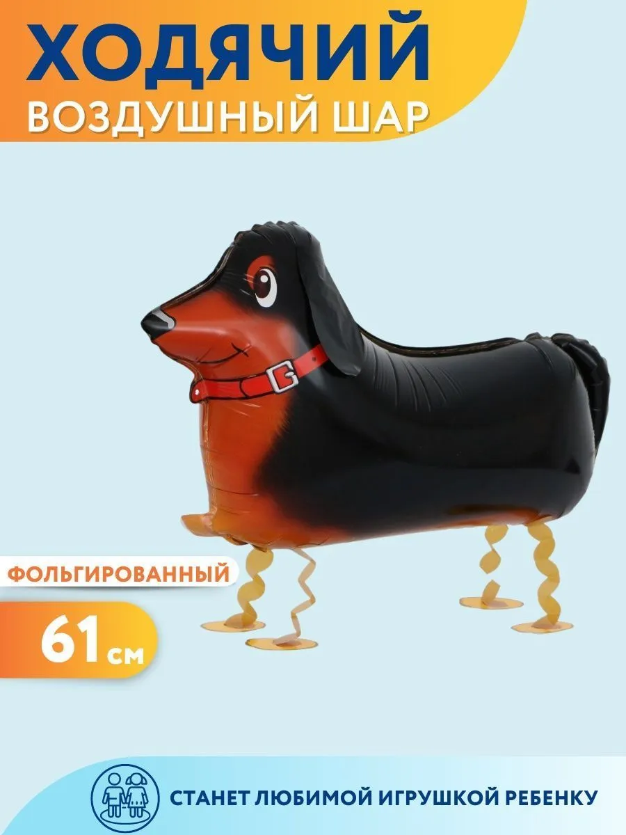 Ход004/ТАКСА