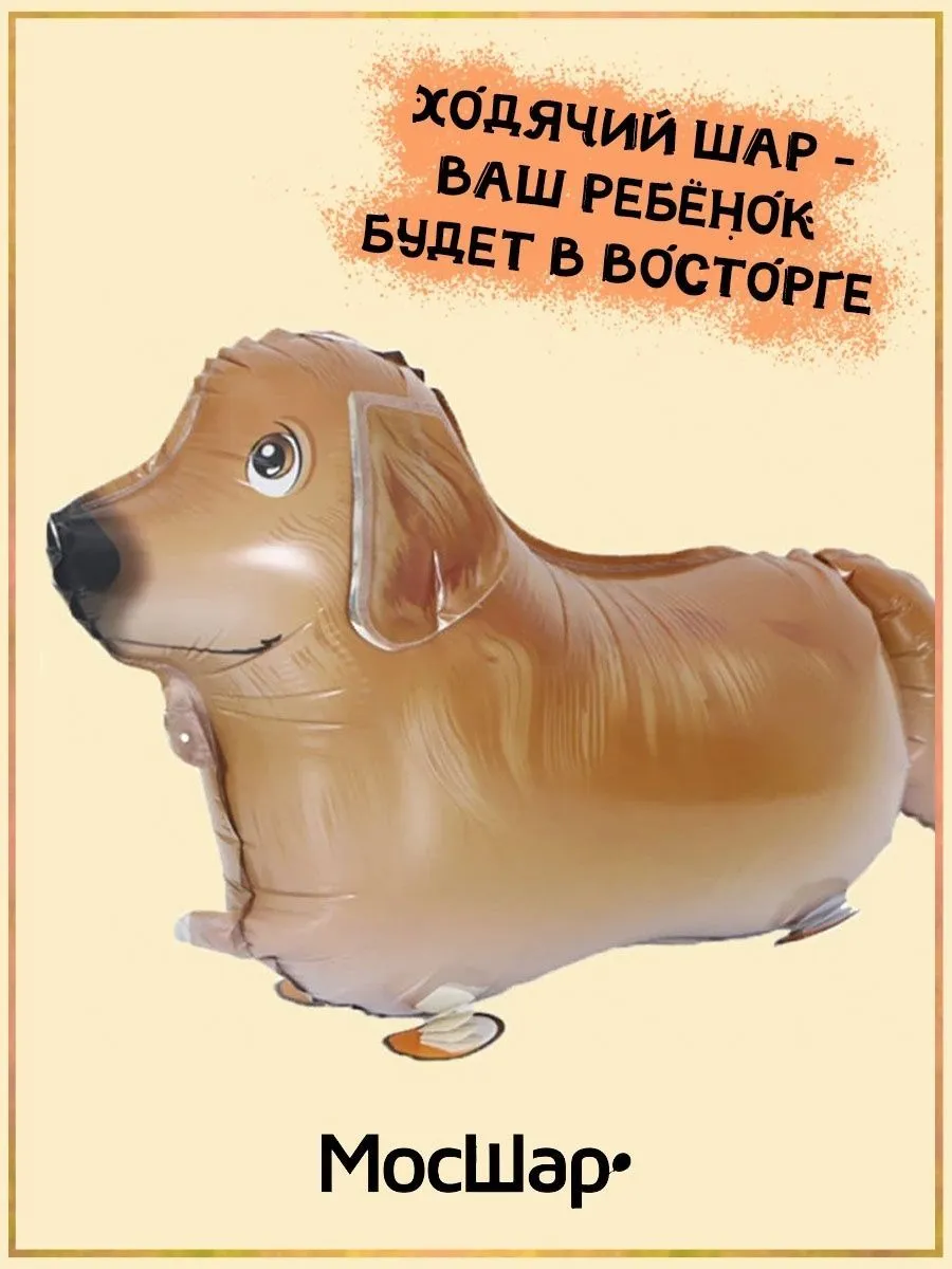 Ход020/РЕТРИВЕР
