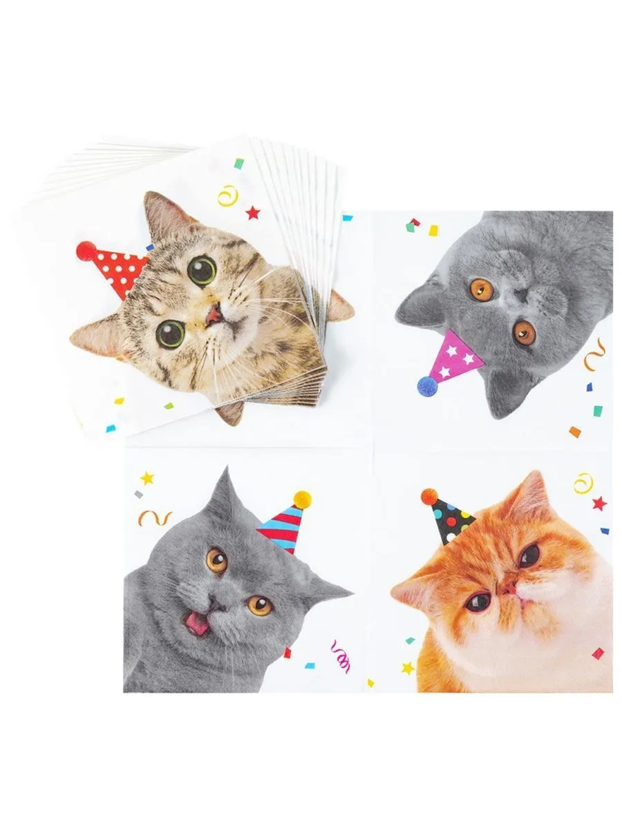 СалфеткаКотикиФотография